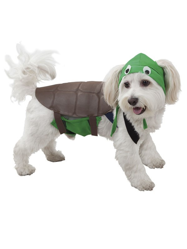 Disfraz de tortuga para perro